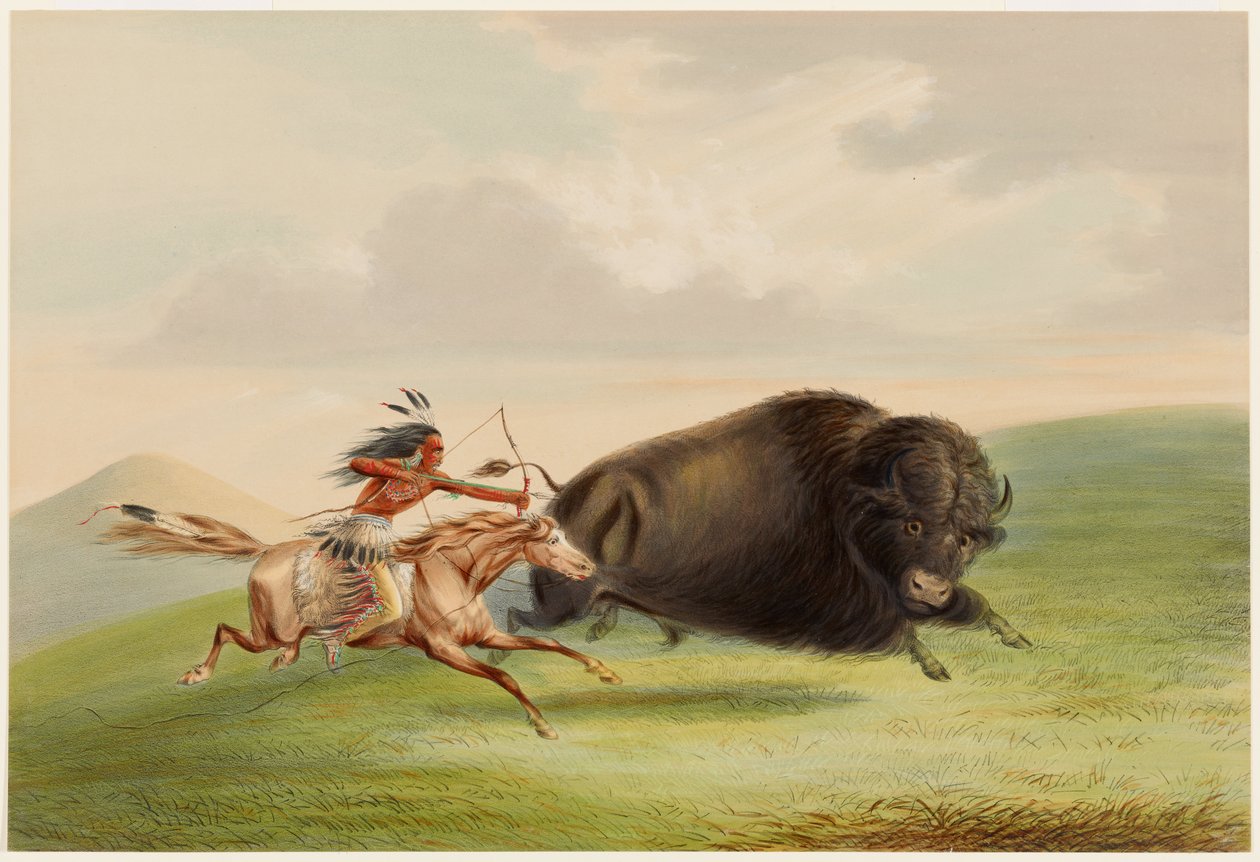 Buffalo Hunt, Chase by George Catlin