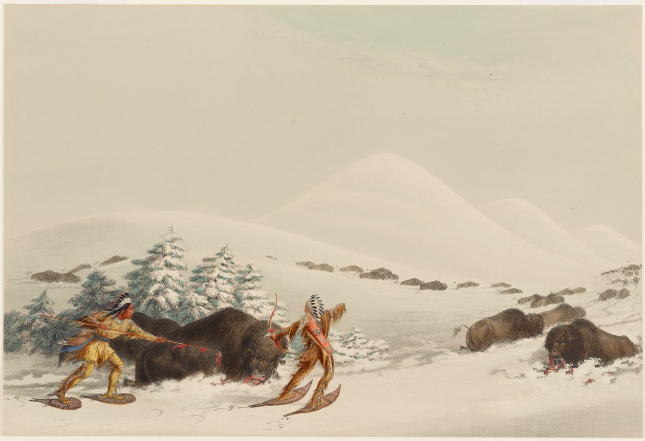 Buffalo Hunt, On Snow Shoes by George Catlin