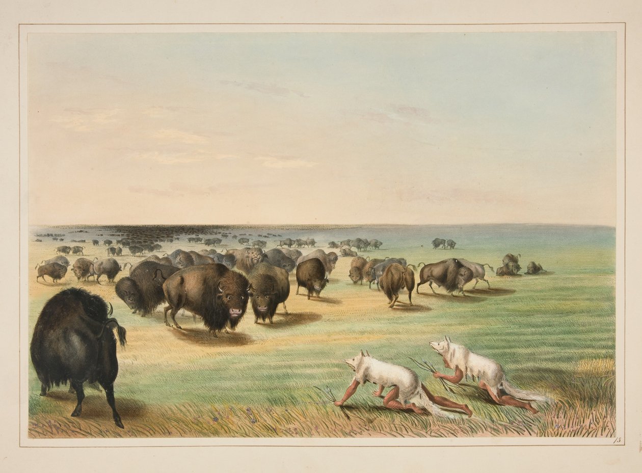 Buffalo Hunt, Under the White Wolf Skin, plate 13 from the North American Indian Portfolio by George Catlin