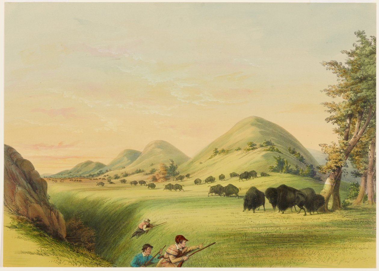 Buffalo Hunt, Approaching in a Ravine by George Catlin