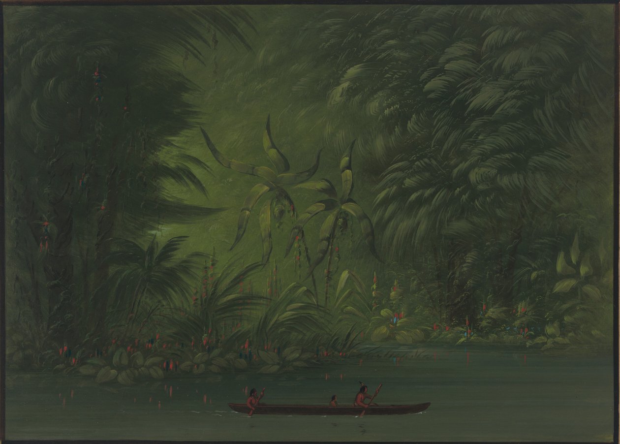 Entrance to a Lagoon, Shore of the Amazon by George Catlin