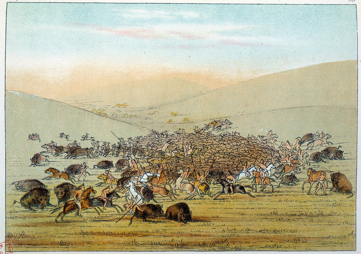 Indians of America: Indian miniatarees hunting buffalo with spears. Illustration by George Catlin by George Catlin