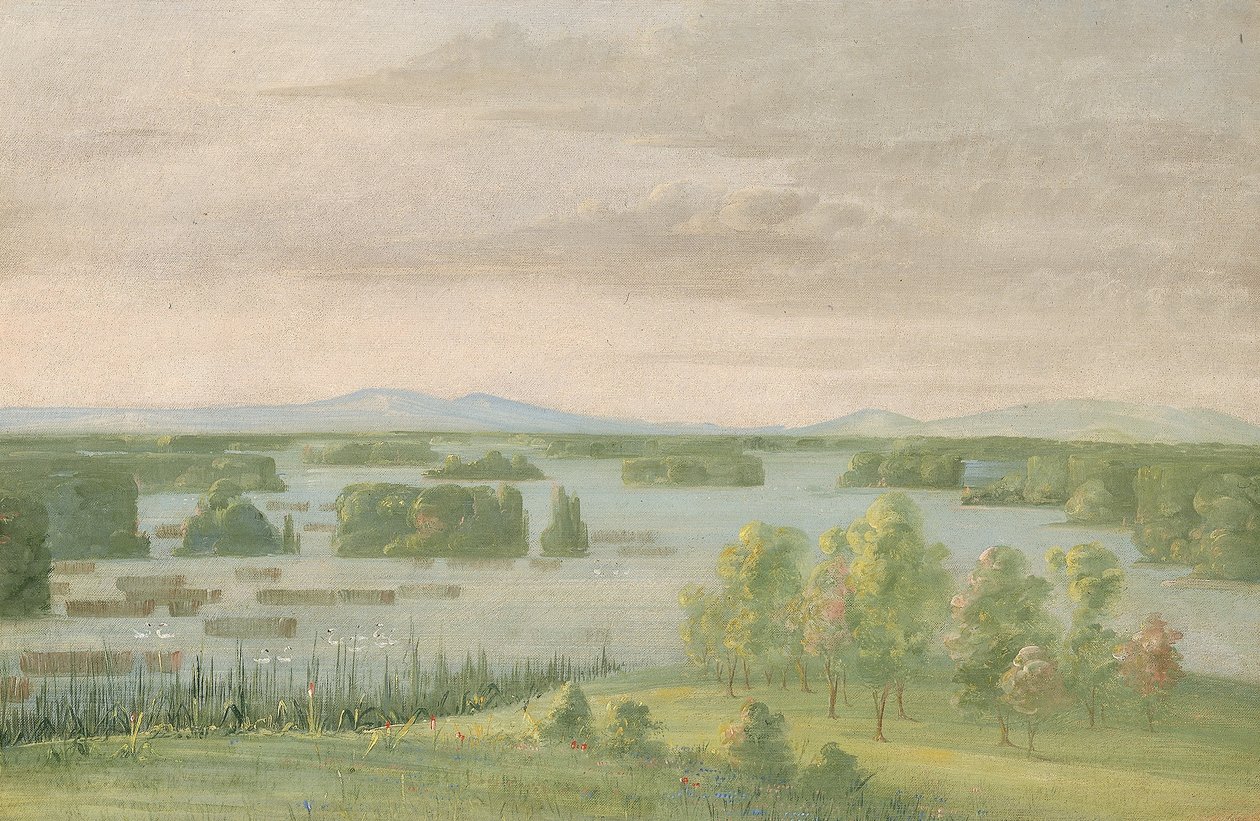 Swan Lake, Near the Coteau des Prairies by George Catlin