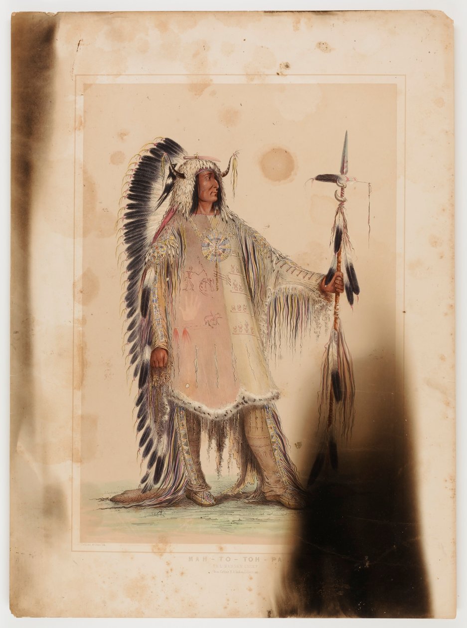 Mah-to-toh-pa, the Mandan Chief by George Catlin