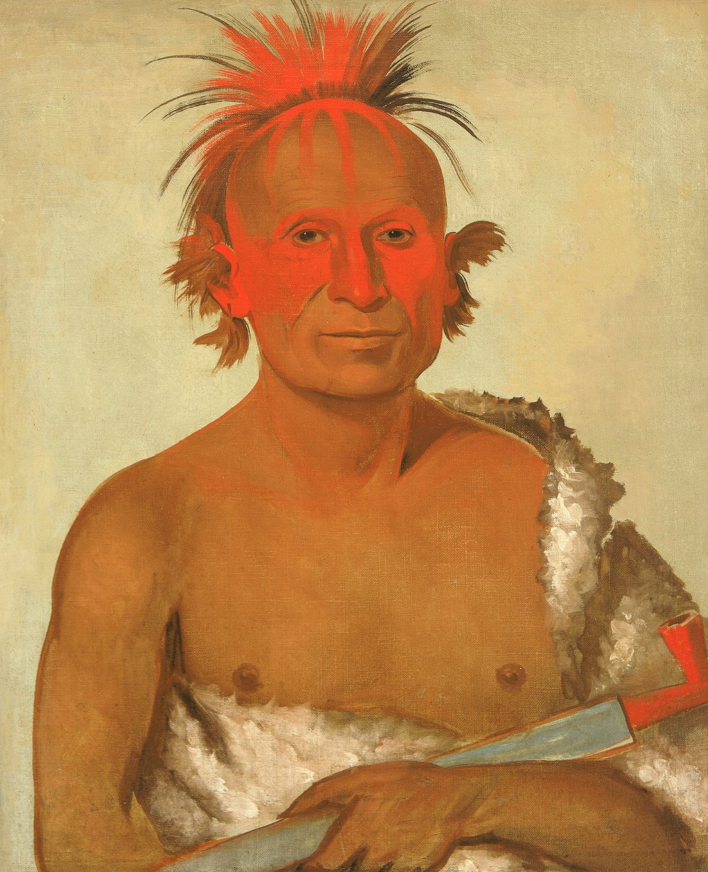 Pash-ee-pa-ho, Little Stabbing Chief, the Younger, One of Black Hawk