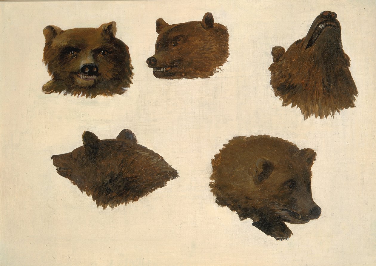 Portraits of Two Grizzly Bears, From Life by George Catlin