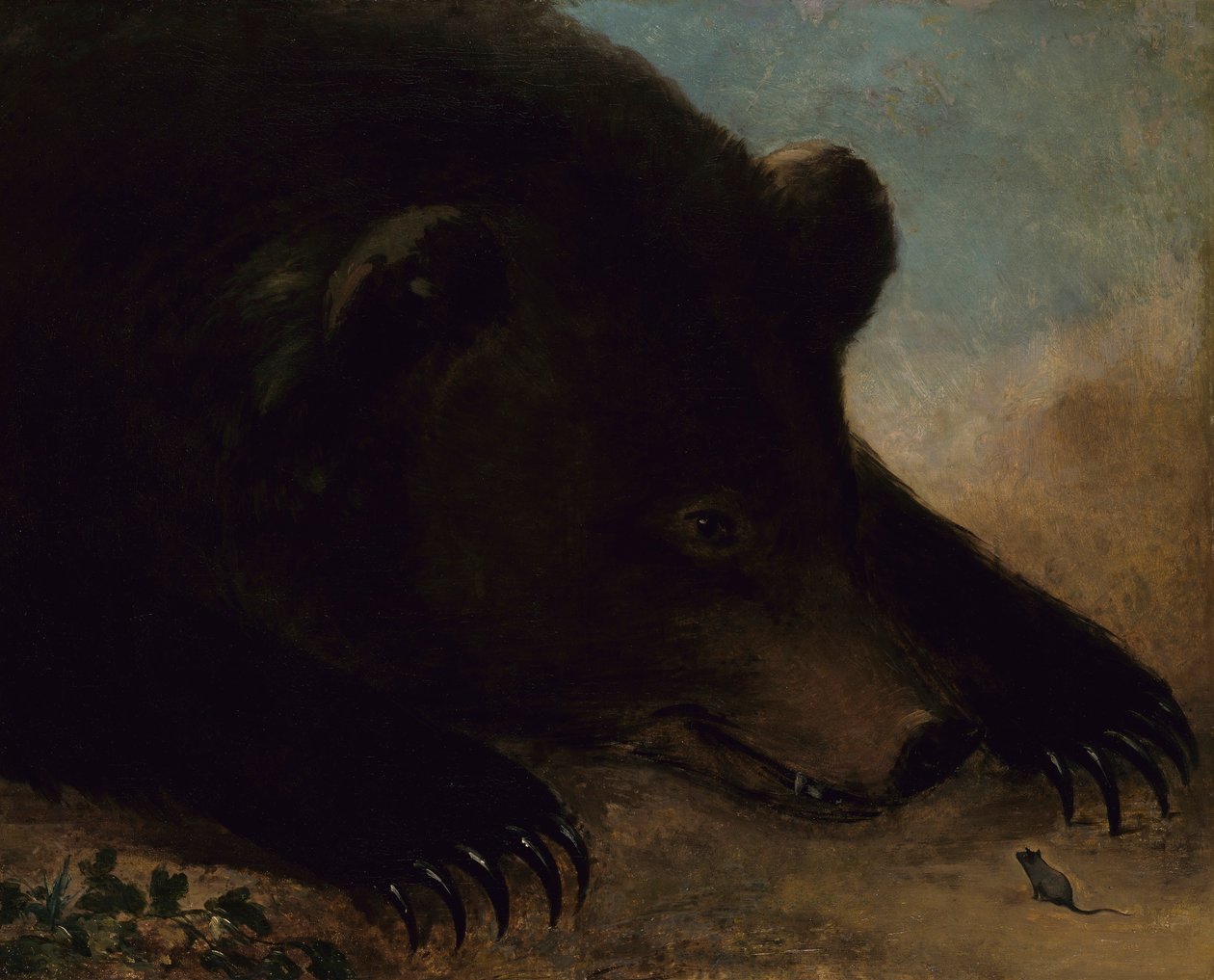 Portraits of a Grizzly Bear and Mouse, Life Size by George Catlin