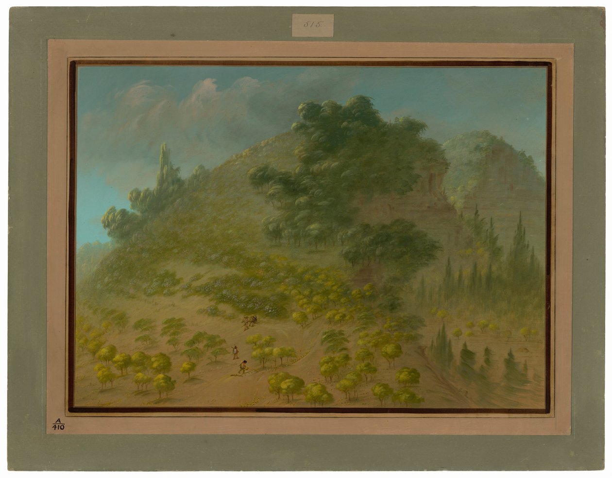 Rhododendron Mountain by George Catlin