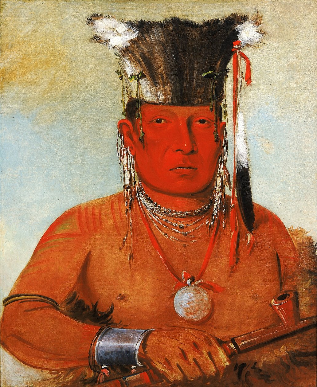 Sháw-da-mon-nee, There He Goes, a Brave by George Catlin