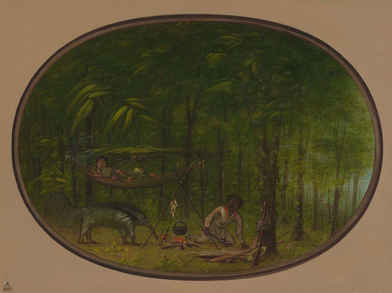 The Great Ant-Eater by George Catlin