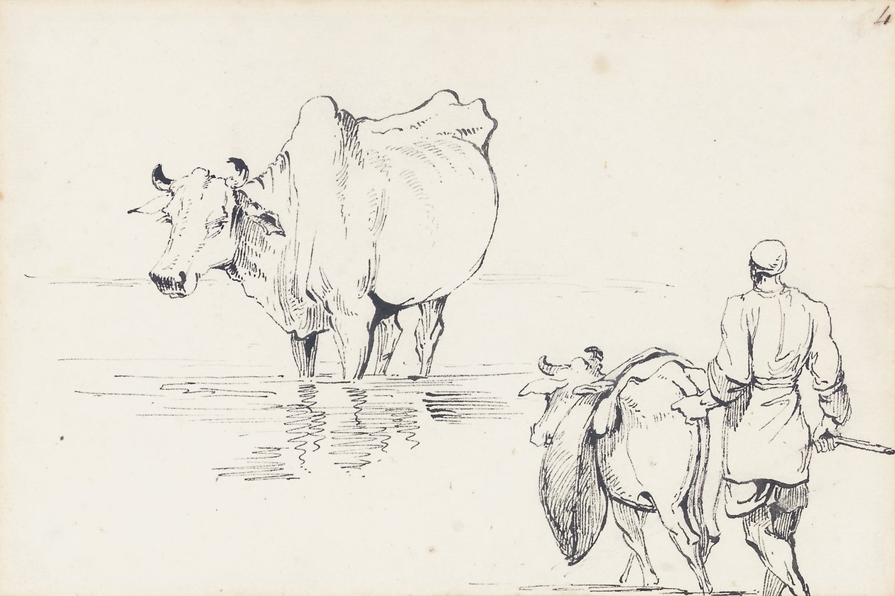 Studies of Indian Cattle by George Chinnery