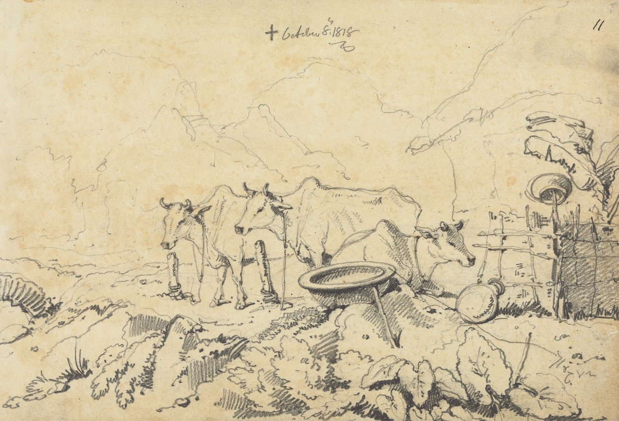 Three Cows Tethered by George Chinnery