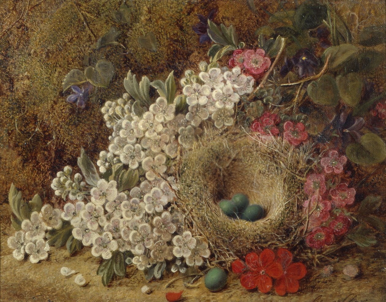 A birds nest and blossom on a mossy bank by George Clare