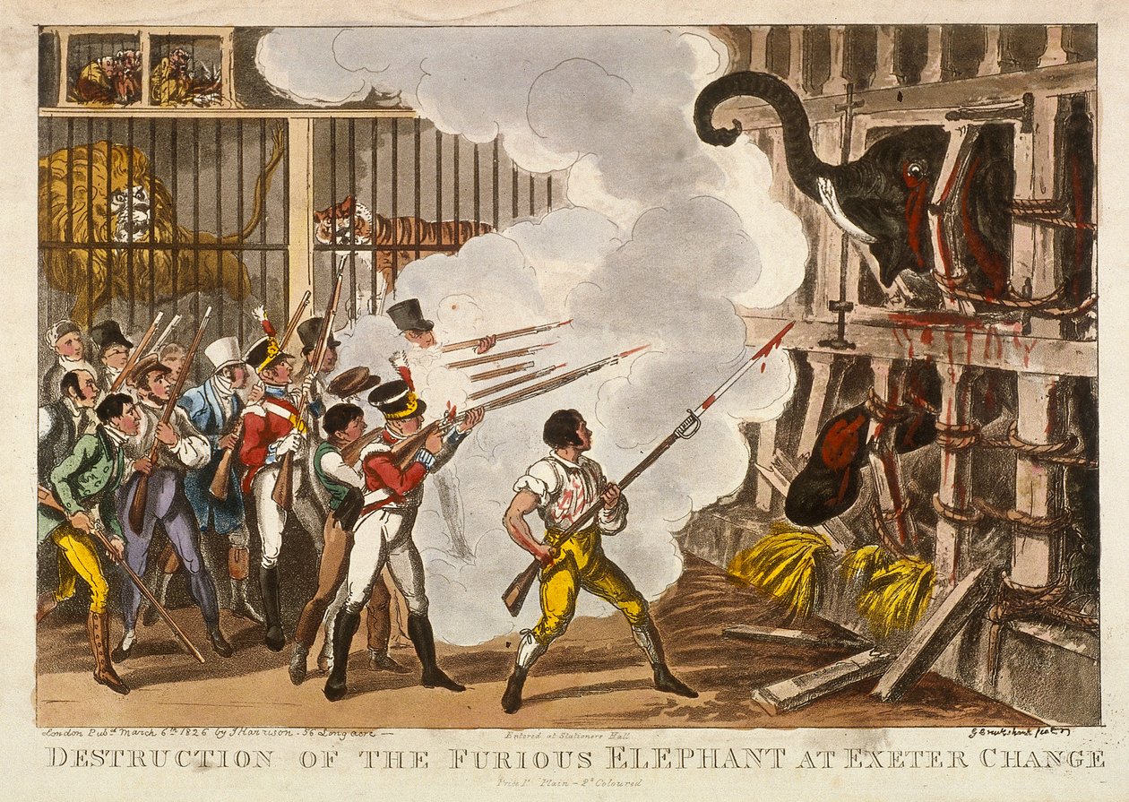 Destruction of the Furious Elephant at Exeter Change by George Cruikshank
