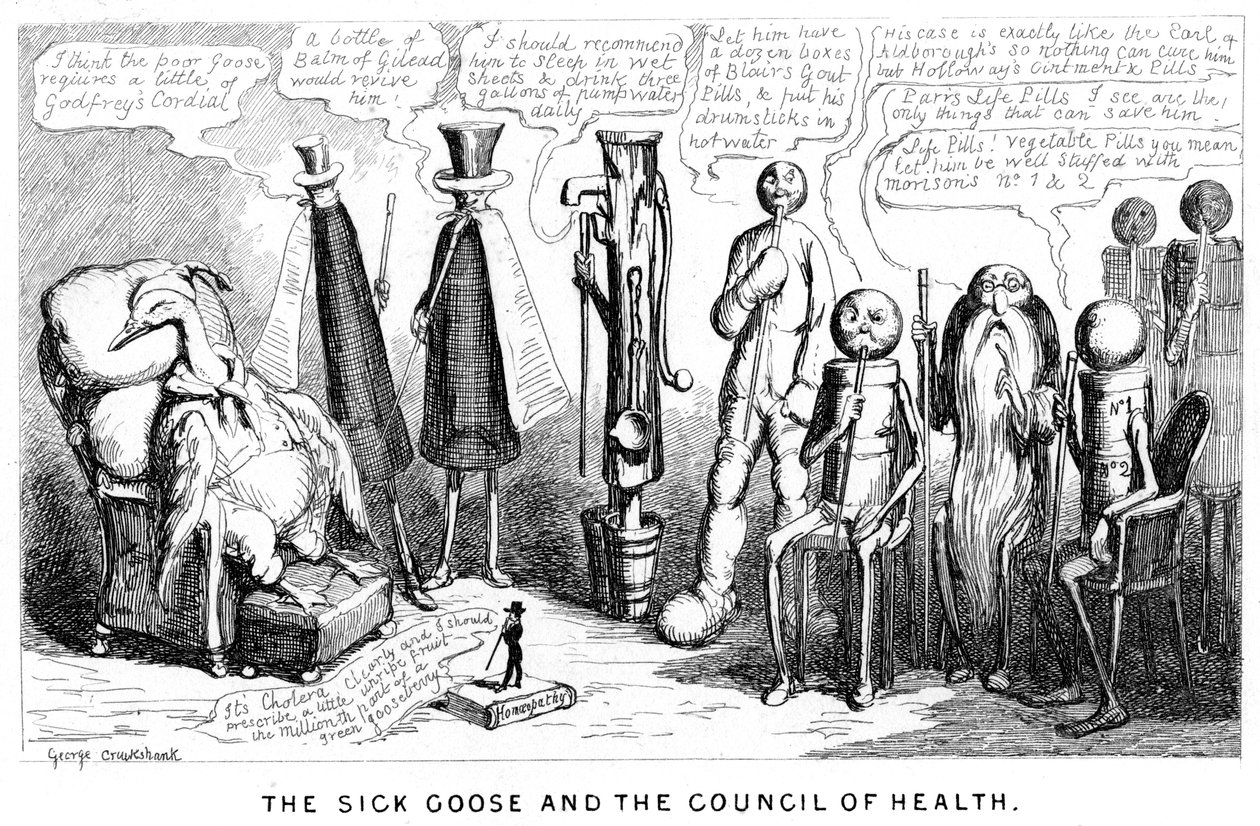 The Sick Goose and the Council of Health by George Cruikshank