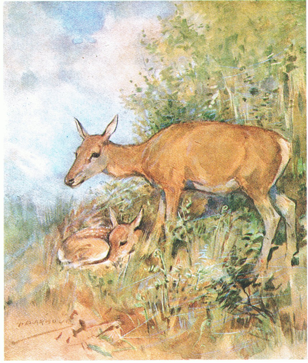 She Always Had a Cosy Bed Ready for Him in Grass or Fern by George Denholm Armour