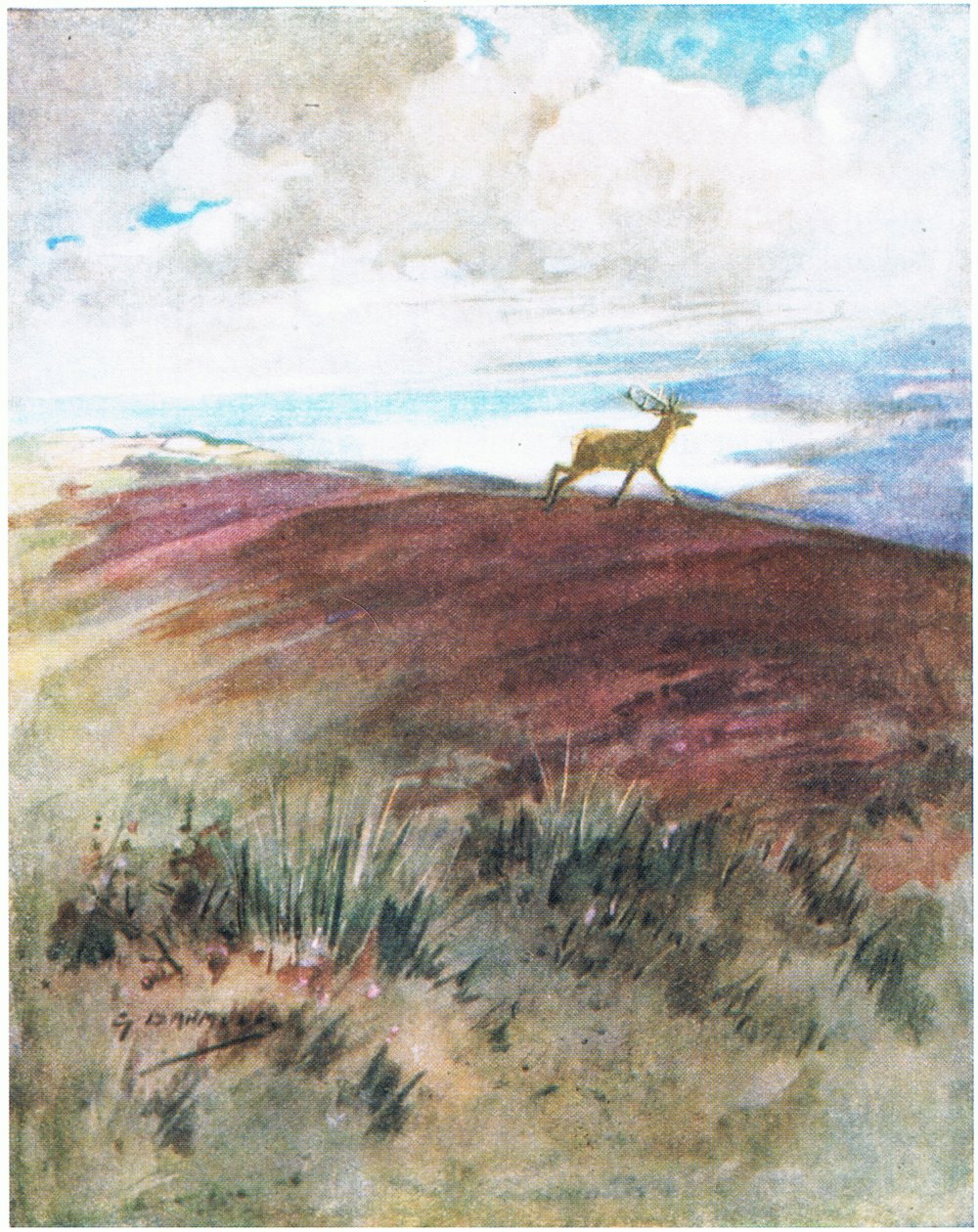 The air was close and heavy as he cantered down from the ridge by George Denholm Armour