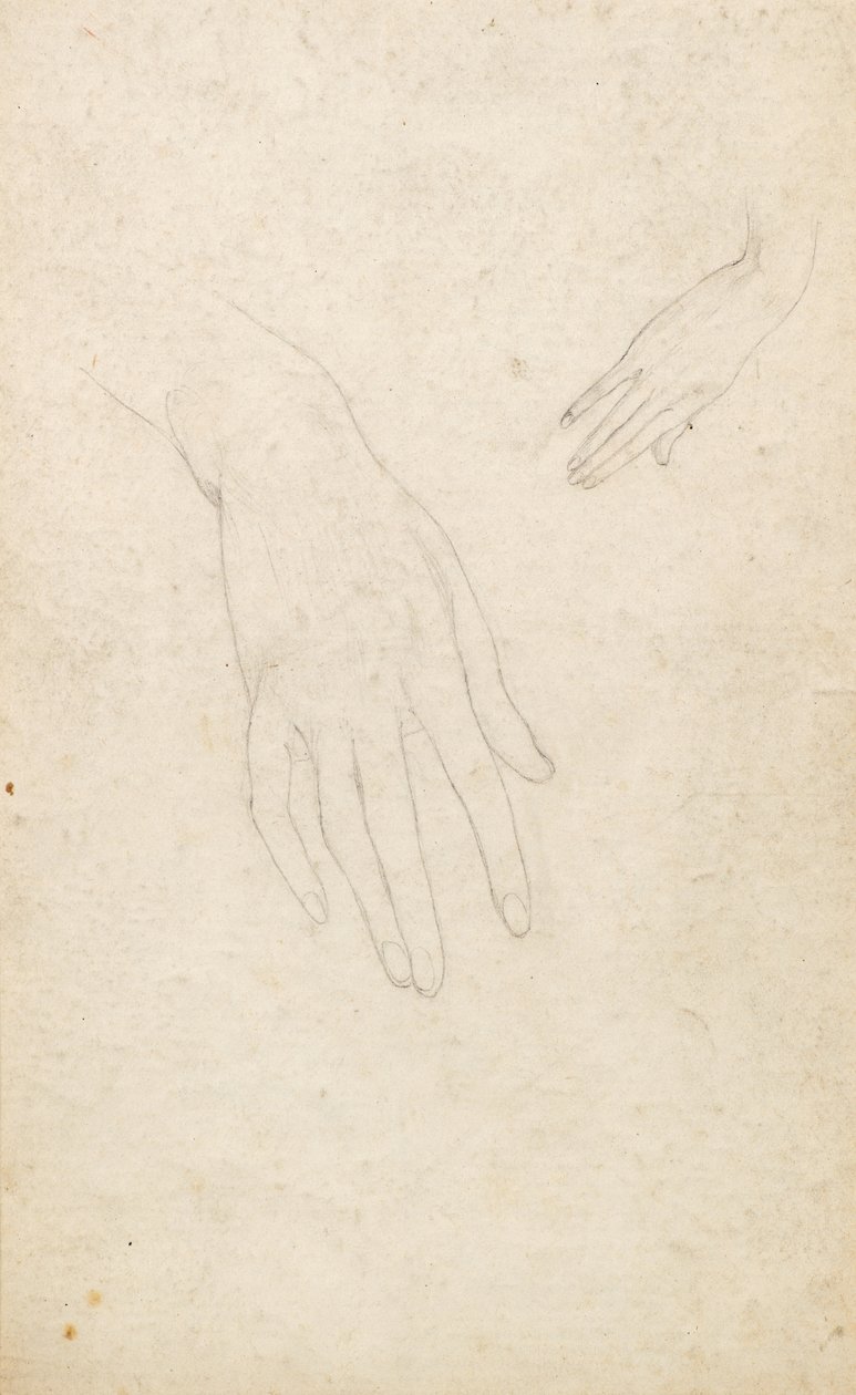 Study of Hands by George Dutch Davidson