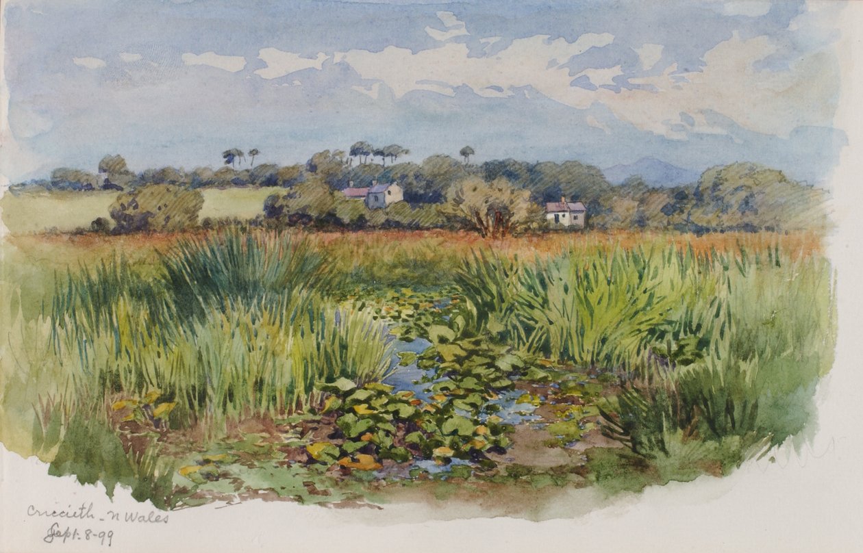 Criccieth, N Wales by George Elbert Burr