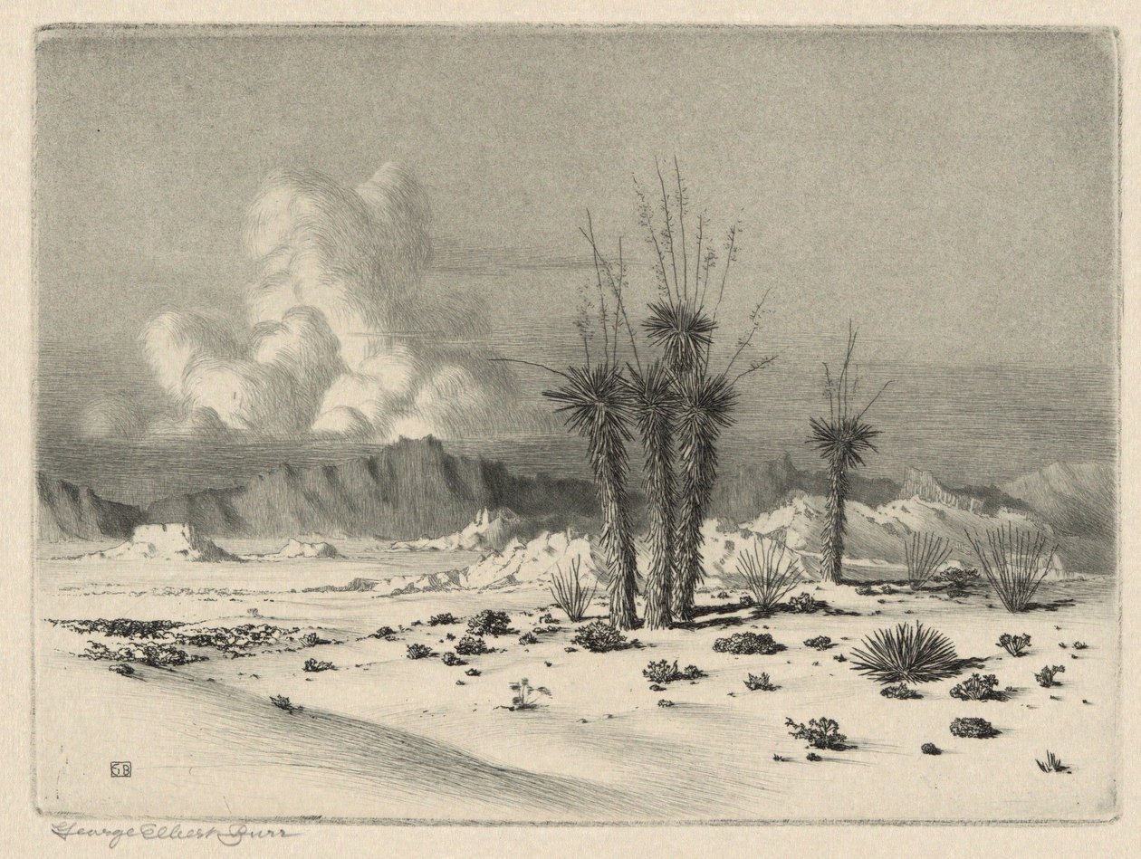 Evening, Arizona by George Elbert Burr