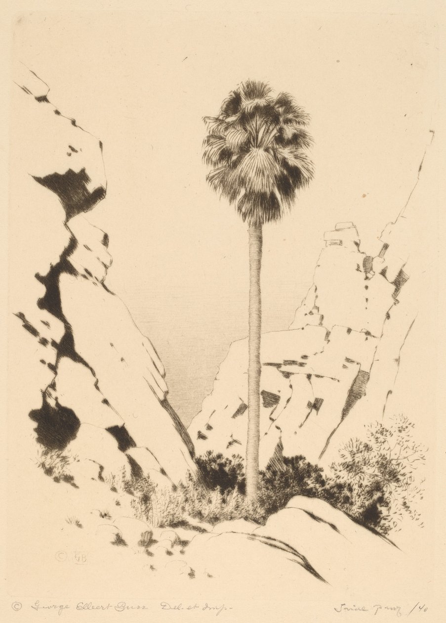 Palm Canyon by George Elbert Burr