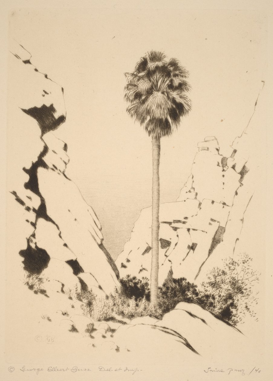 Palm Canyon (no.1) by George Elbert Burr
