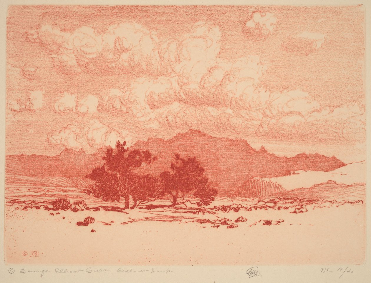 Palo Verde Trees by George Elbert Burr