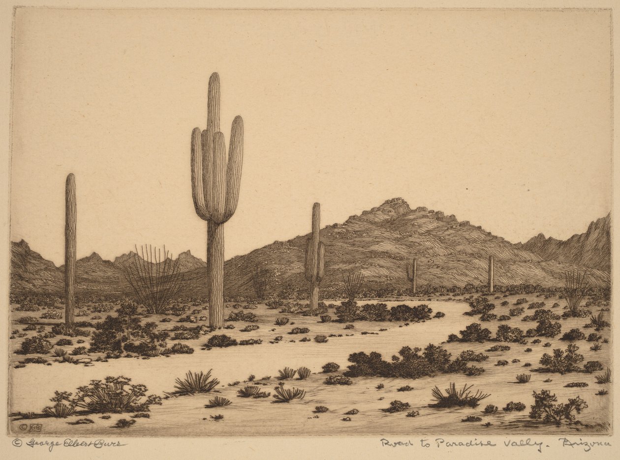 Road to Paradise Valley, Arizona by George Elbert Burr