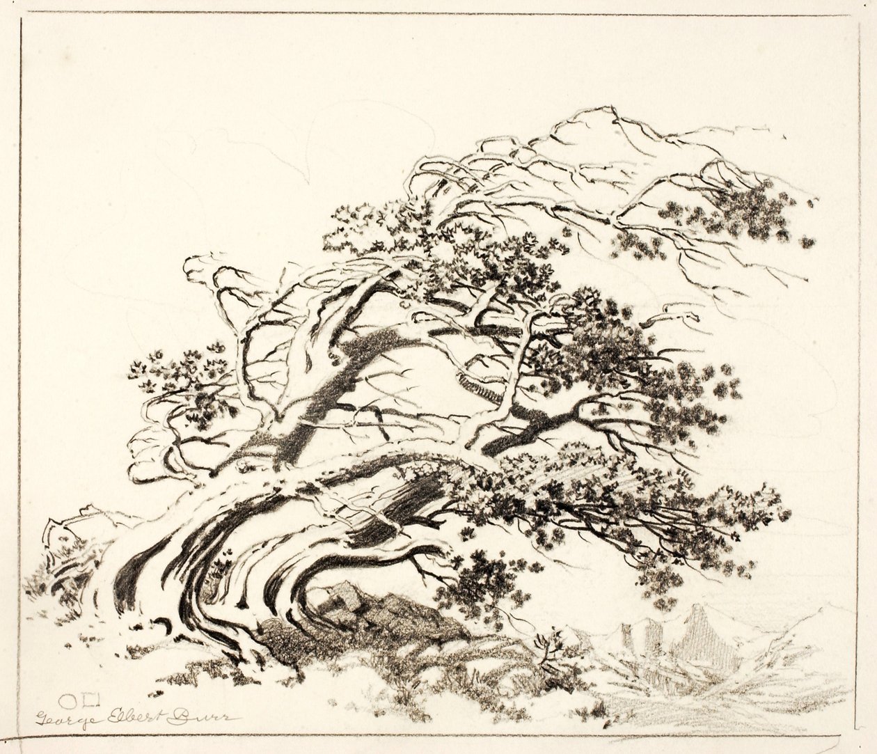 Sketch for Pines in Wind, Estes Park by George Elbert Burr