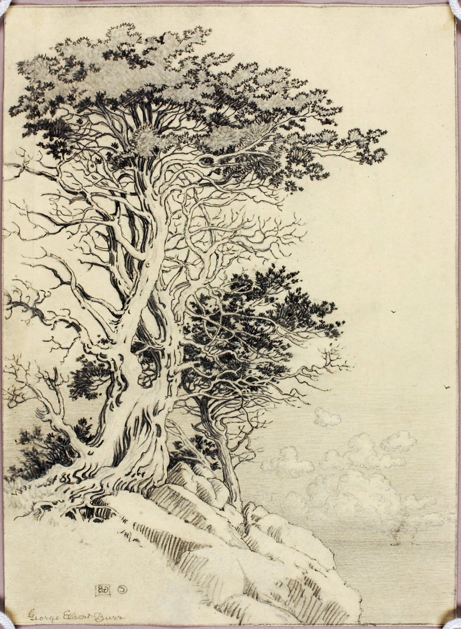 Untitled (drawing for print) by George Elbert Burr