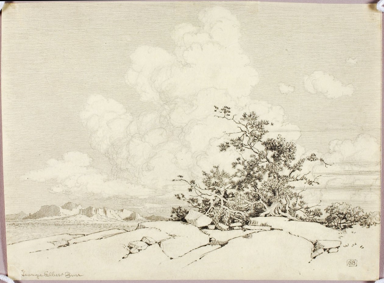 Untitled by George Elbert Burr