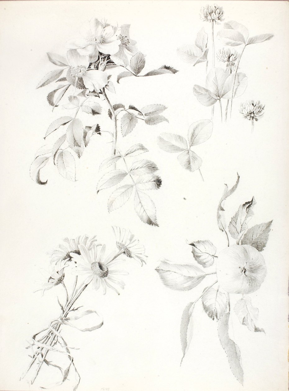 Untitled by George Elbert Burr