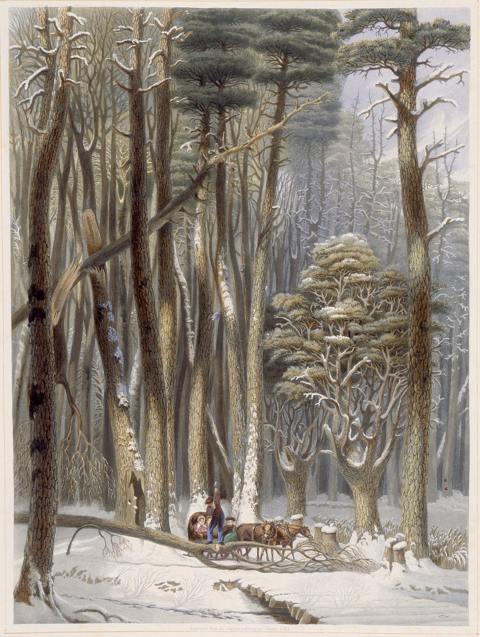 Winter, Impeded Travellers in a Pine Forest, from Harvey