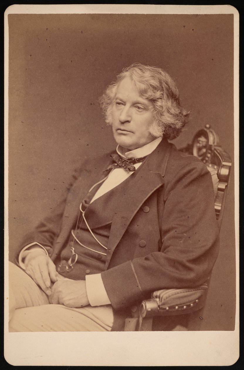 Portrait of Charles Sumner by George K Warren