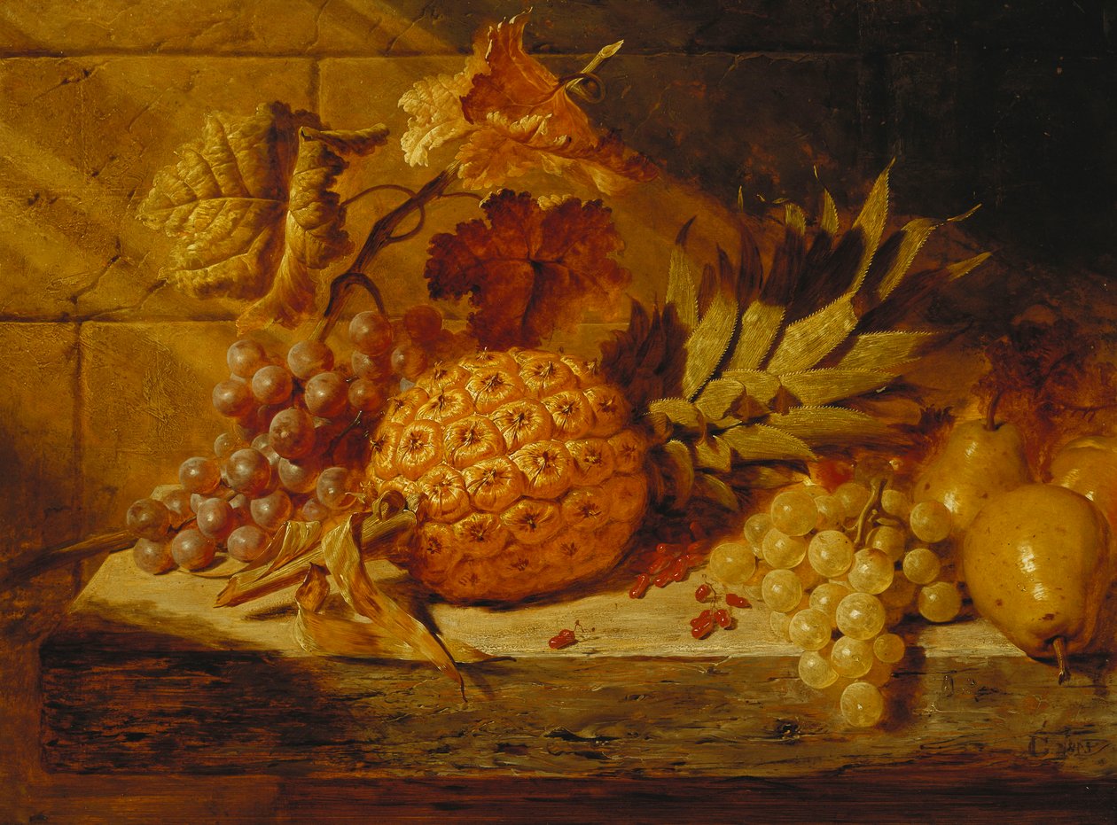 Black and White Grapes, Pears, Redcurrants and a Pineapple on a Ledge, 1845 by George Lance