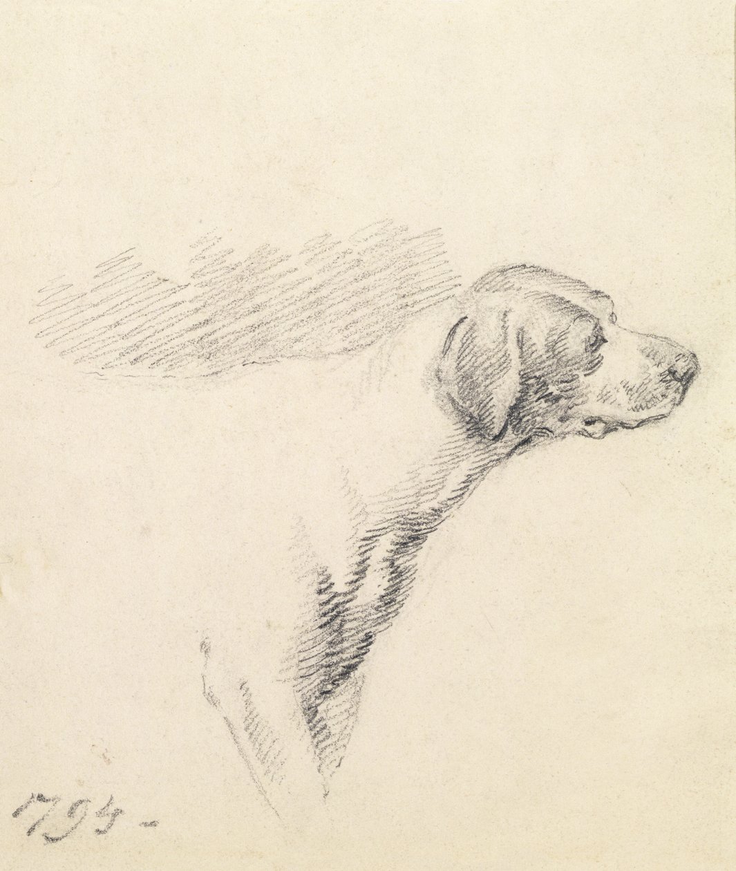 Study of a Hound by George Morland
