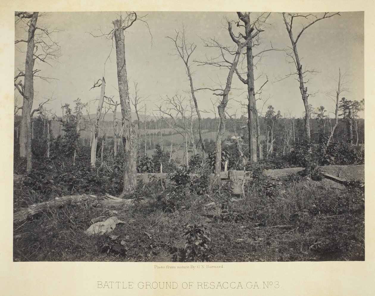 Battle Ground of Resaca, GA, No. 3 by George N. Barnard