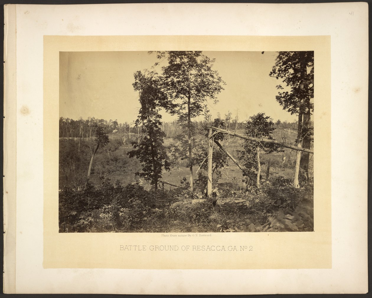 Battle Ground of Resaca, Georgia No. 2 by George N. Barnard