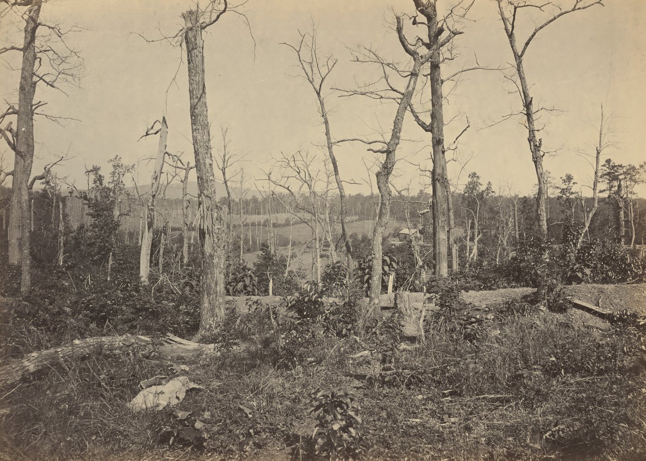 Battleground of Resaca, Georgia, No 3, 1864 by George N. Barnard