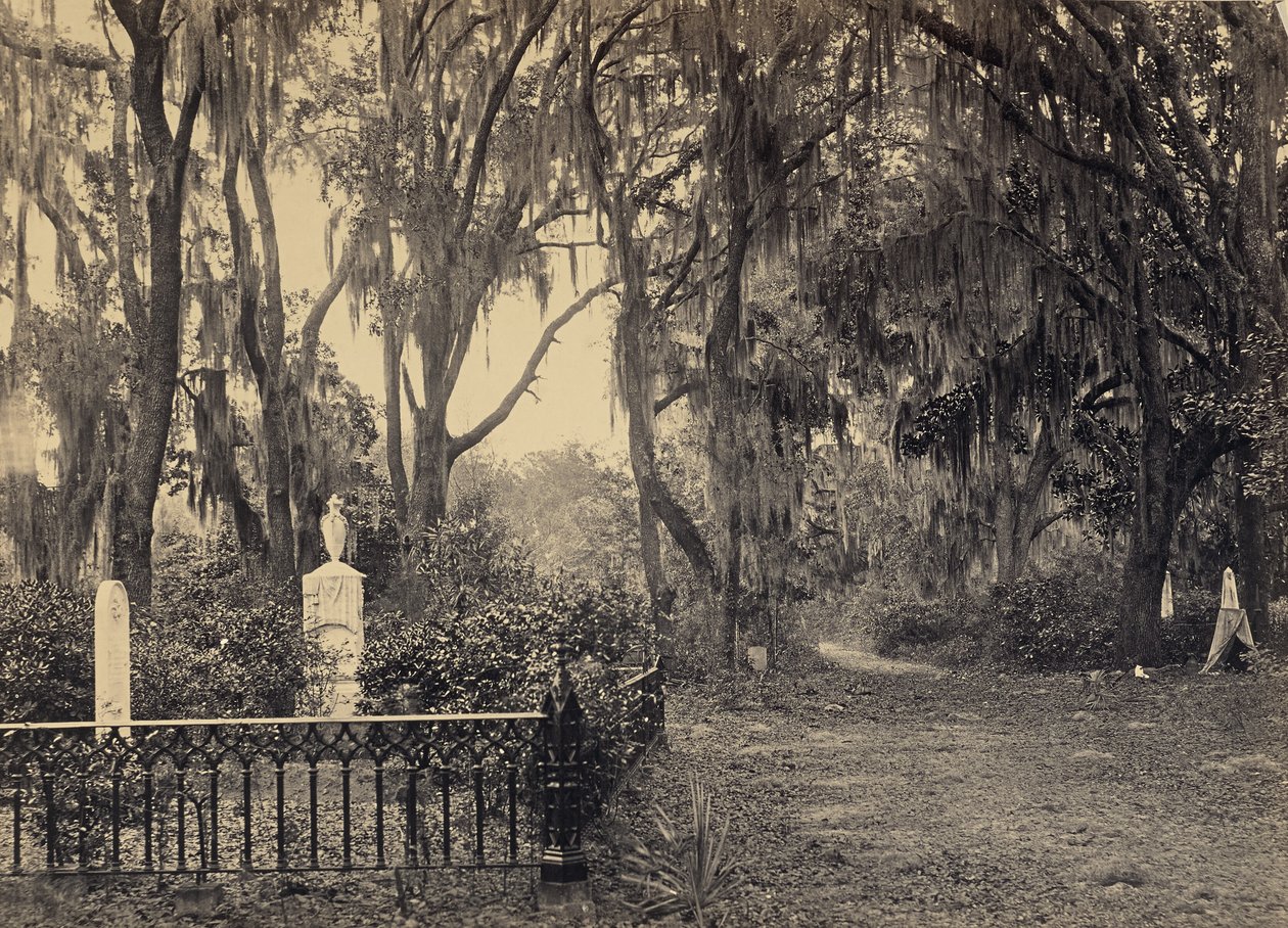Buen-Ventura Savannah, Georgia by George N. Barnard