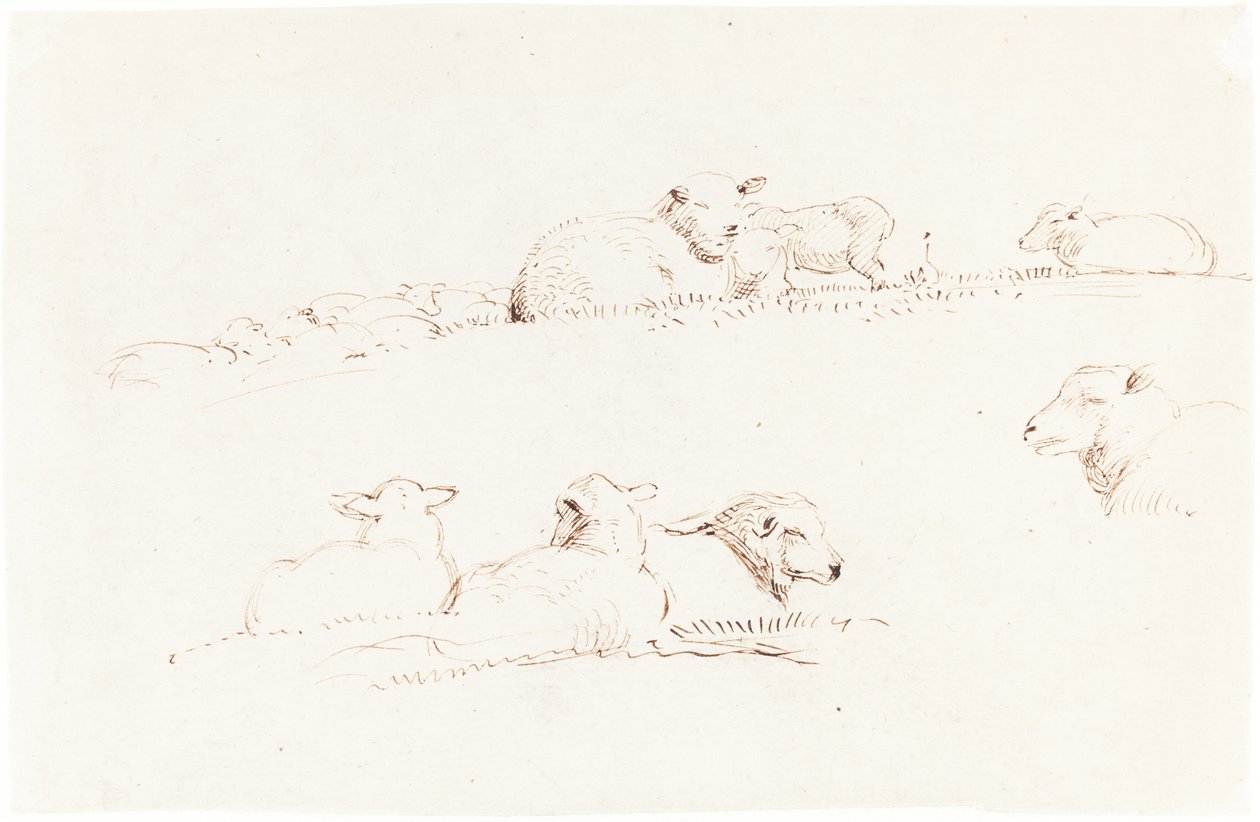 Studies of Sheep in Pasture by George Richmond