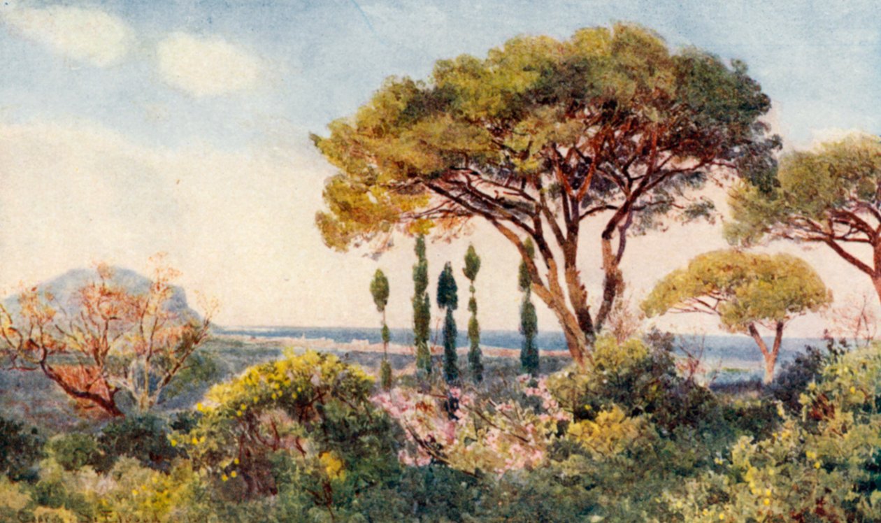 Between the mountains and the sea by George Samuel Elgood