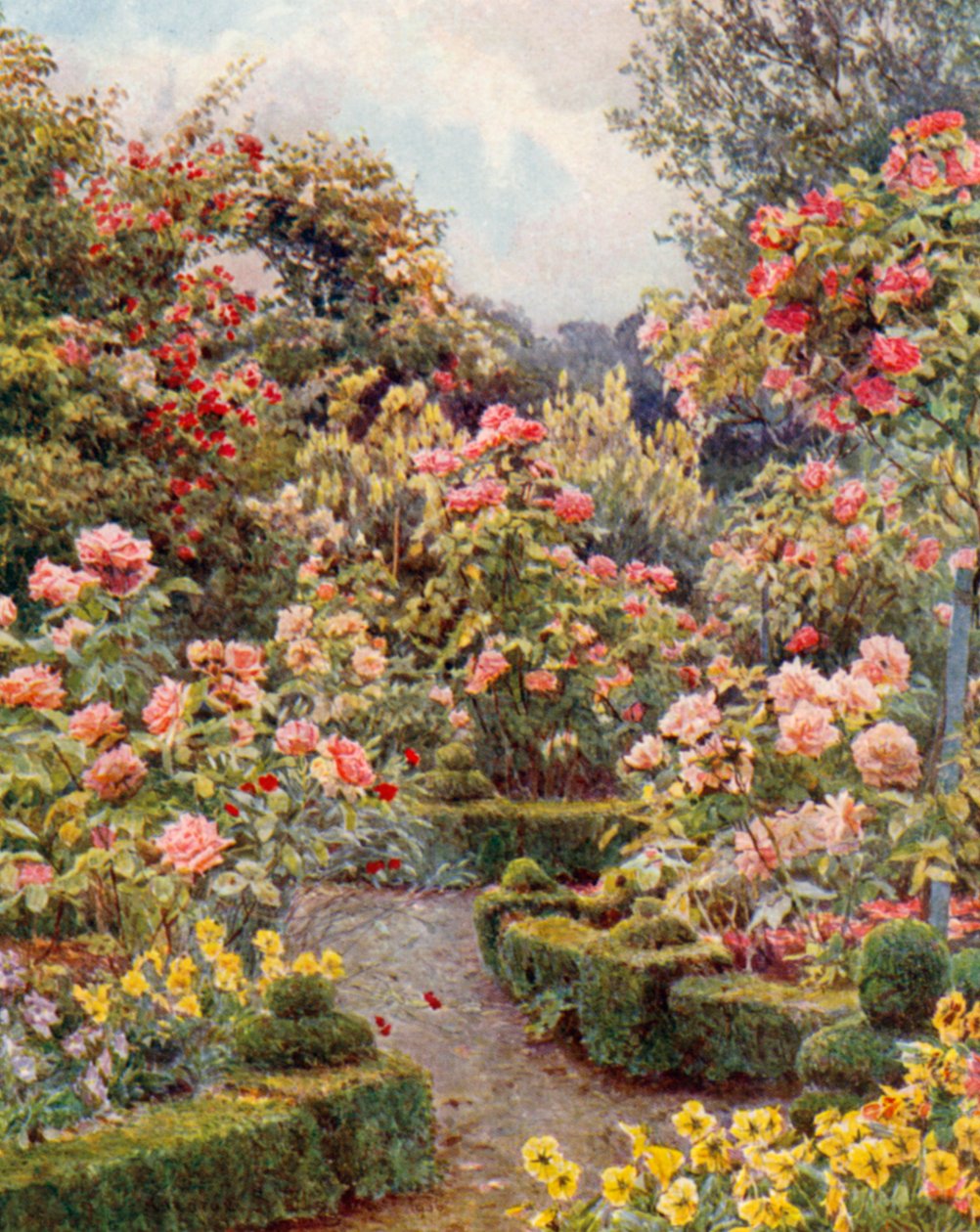 Everywhere are roses, roses by George Samuel Elgood