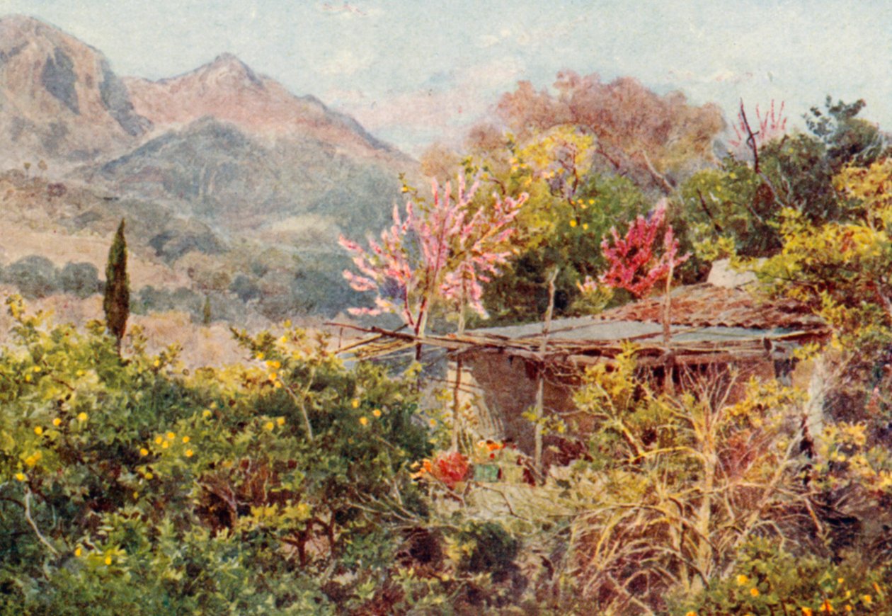 Orange Grove, Mentone by George Samuel Elgood