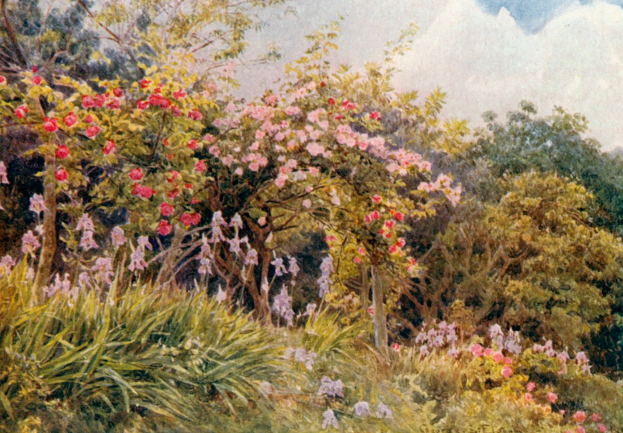  by George Samuel Elgood