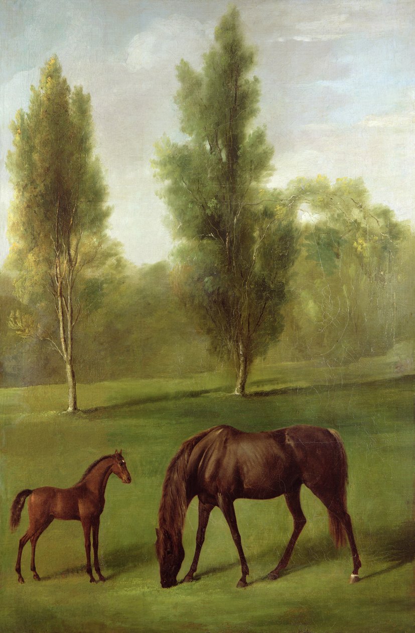 A Chestnut Mare and Foal in a Wooded Landscape, c.1761-63 by George Stubbs