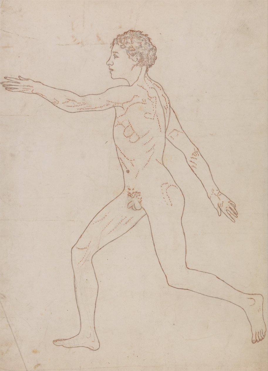 Human Figure, Lateral View (Outline Study in Reverse of Table VIII) by George Stubbs