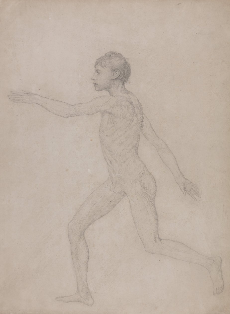 Human Figure, Lateral View by George Stubbs