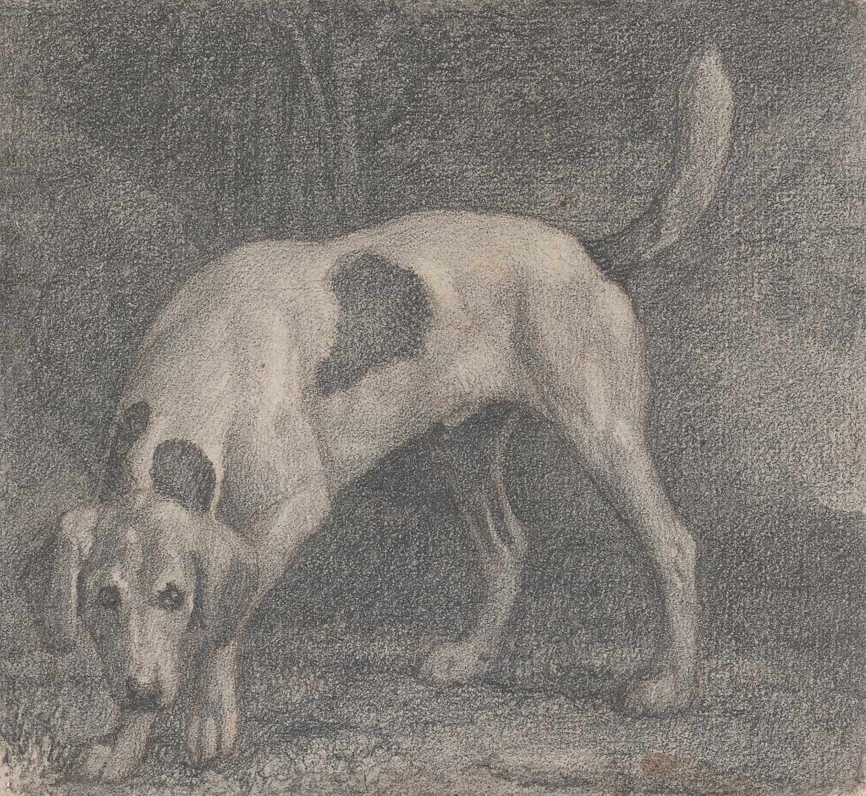A Foxhound on the Scent by George Stubbs