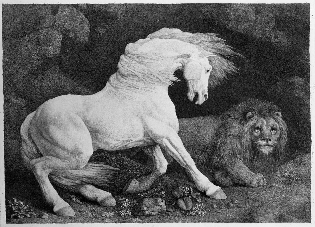 A Horse Affrighted by a Lion, engraved by the artist by George Stubbs